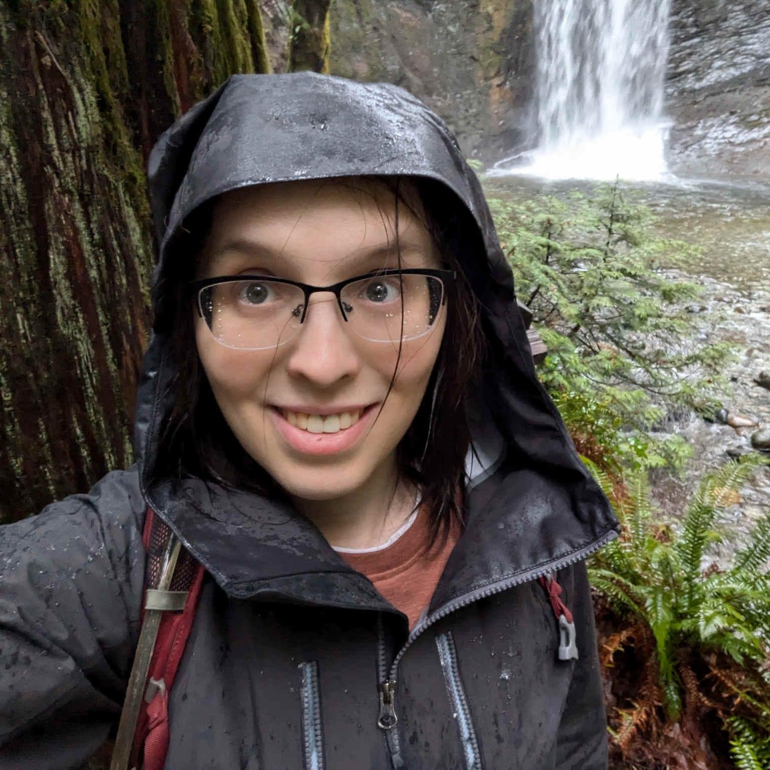 Picture of Alice Cecile